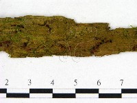 登錄號:F0022627藏品圖，第3張