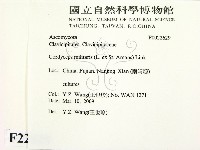 登錄號:F0022629藏品圖，第2張