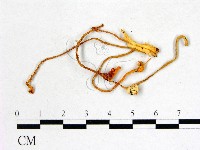 登錄號:F0022629藏品圖，第3張