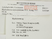 登錄號:F0022631藏品圖，第2張