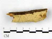 登錄號:F0022631藏品圖，第1張