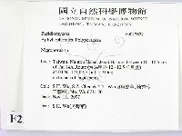 登錄號:F0022632藏品圖，第2張