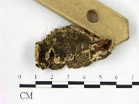 登錄號:F0022632藏品圖，第1張