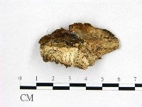 登錄號:F0022632藏品圖，第3張