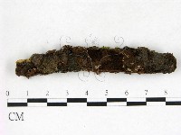登錄號:F0022633藏品圖，第1張
