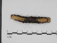 登錄號:F0022633藏品圖，第4張