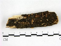 登錄號:F0022634藏品圖，第1張