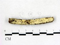 登錄號:F0022635藏品圖，第1張
