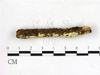 登錄號:F0022635藏品圖，第3張