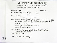 絲齒菌屬藏品圖，第2張