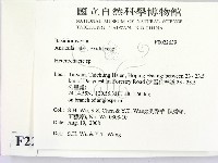 刺皮菌屬藏品圖，第2張