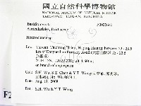刺皮菌屬藏品圖，第2張
