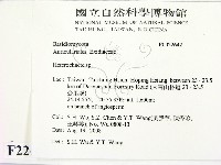 刺皮菌屬藏品圖，第2張