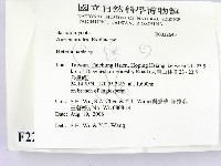 刺皮菌屬藏品圖，第2張