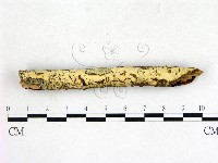 登錄號:F0022644藏品圖，第1張