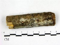 登錄號:F0022645藏品圖，第1張