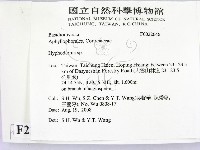 絲皮菌屬藏品圖，第2張