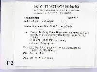 登錄號:F0022647藏品圖，第2張