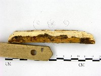 登錄號:F0022647藏品圖，第3張