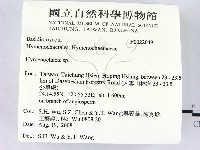 刺革菌屬藏品圖，第2張