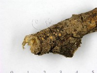 登錄號:F0022651藏品圖，第3張