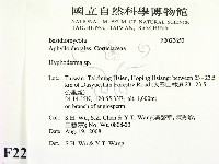 絲皮菌屬藏品圖，第2張