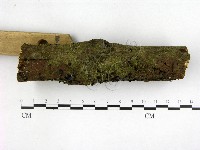 登錄號:F0022654藏品圖，第3張