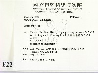 刺皮菌屬藏品圖，第2張