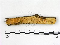 登錄號:F0022657藏品圖，第1張