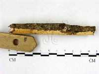 登錄號:F0022657藏品圖，第3張