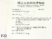 盤革菌屬藏品圖，第2張
