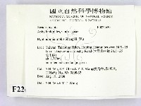 登錄號:F0022659藏品圖，第2張