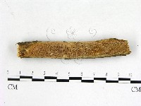登錄號:F0022659藏品圖，第1張