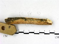 登錄號:F0022659藏品圖，第3張