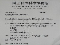 登錄號:F0022661藏品圖，第2張