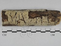 登錄號:F0022661藏品圖，第1張