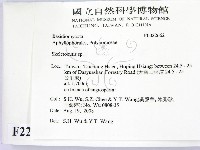 骨皮菌屬藏品圖，第2張