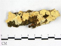 登錄號:F0022663藏品圖，第1張