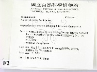 登錄號:F0022667藏品圖，第2張