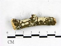 登錄號:F0022668藏品圖，第1張