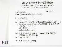 刺革菌屬藏品圖，第2張