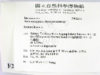 刺革菌屬藏品圖，第2張