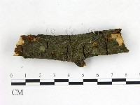 登錄號:F0022672藏品圖，第3張