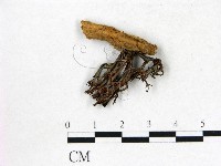 登錄號:F0022673藏品圖，第1張