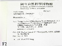 顯絲菌屬藏品圖，第2張