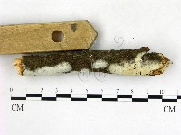 登錄號:F0022675藏品圖，第3張