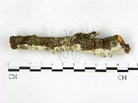 登錄號:F0022677藏品圖，第3張