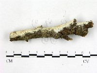 登錄號:F0022677藏品圖，第4張