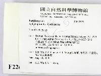 顯絲菌屬藏品圖，第2張