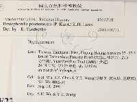 登錄號:F0022681藏品圖，第2張